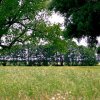 Tour 6: Naturpark Usedom
